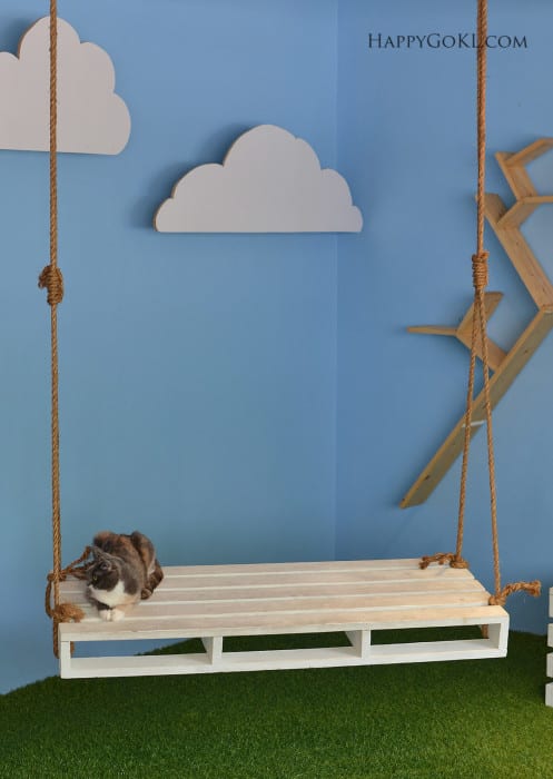 purradise cat cafe swing