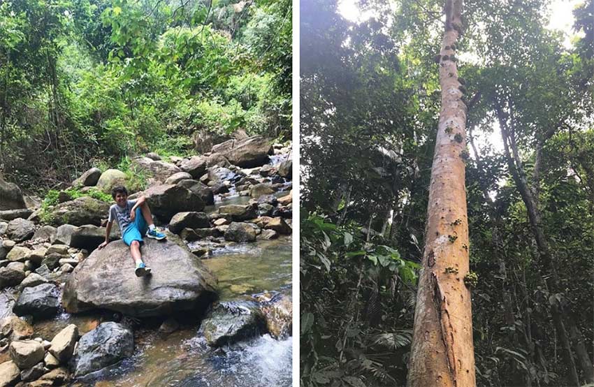 Happy Go KL - gunung pulai hike gunung pulai hike - Happy Go KL