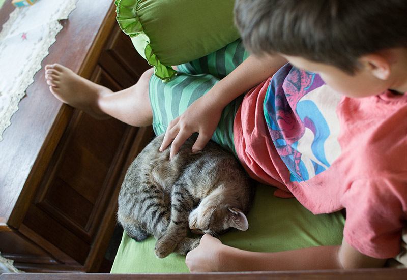Happy Go KL - pulau besar cats pulau besar cats - Happy Go KL