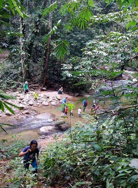 Happy Go KL - hashing in the jungle 4 hashing in the jungle 4 - Happy Go KL