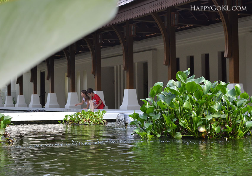 Happy Go KL - HGKL feeding turtles HGKL feeding turtles - Happy Go KL