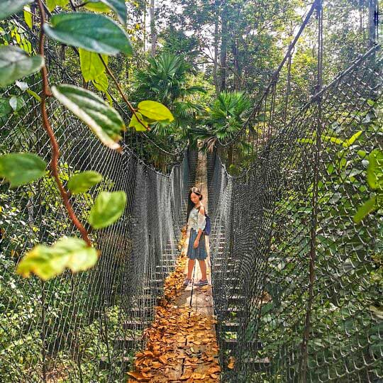 Happy Go KL - Tourism Selangor distant destinations 5 Off the beaten track - National Botanical Garden, Shah Alam.