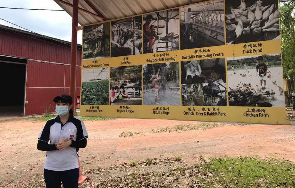 Happy Go KL - UK Farm Kluang 2 UK Farm Kluang 2 - Happy Go KL